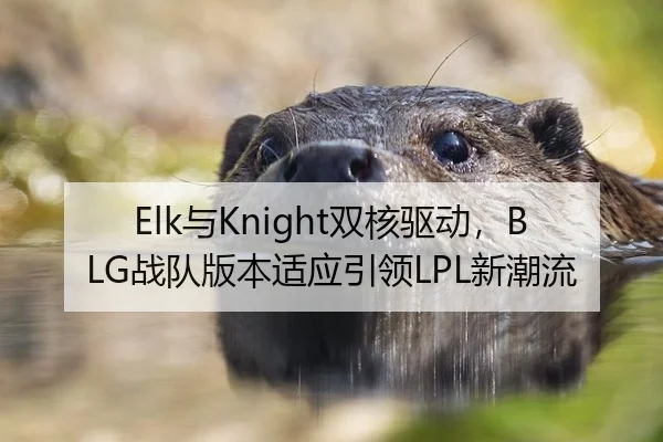 yu-shuang-he-qu-dong-zhan-dui-ban-ben-shi-ying-yin-ling-xin-chao-liu-2-634.jpg